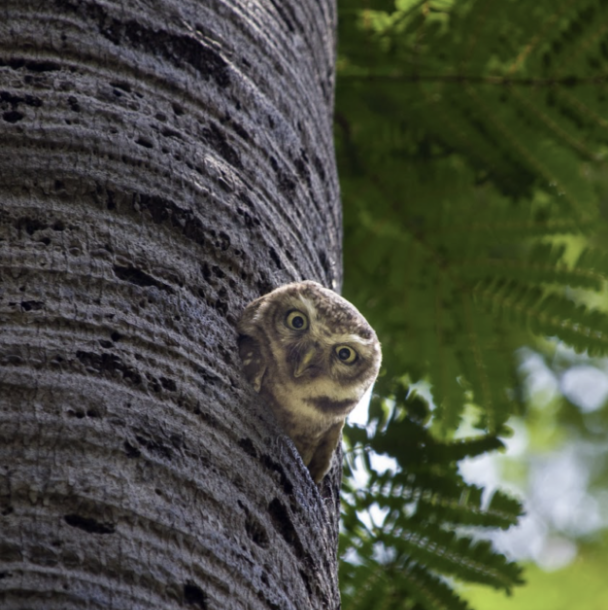 Screenshot 2025-07-23 at 5.13.08 PM